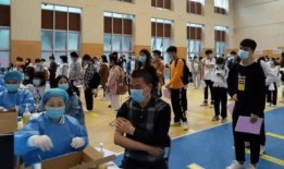 枫丹爆料视频大全最新消息,最新情报汇总解析