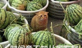 网红吃瓜爆料怎么找到的,探寻幕后线索与技巧